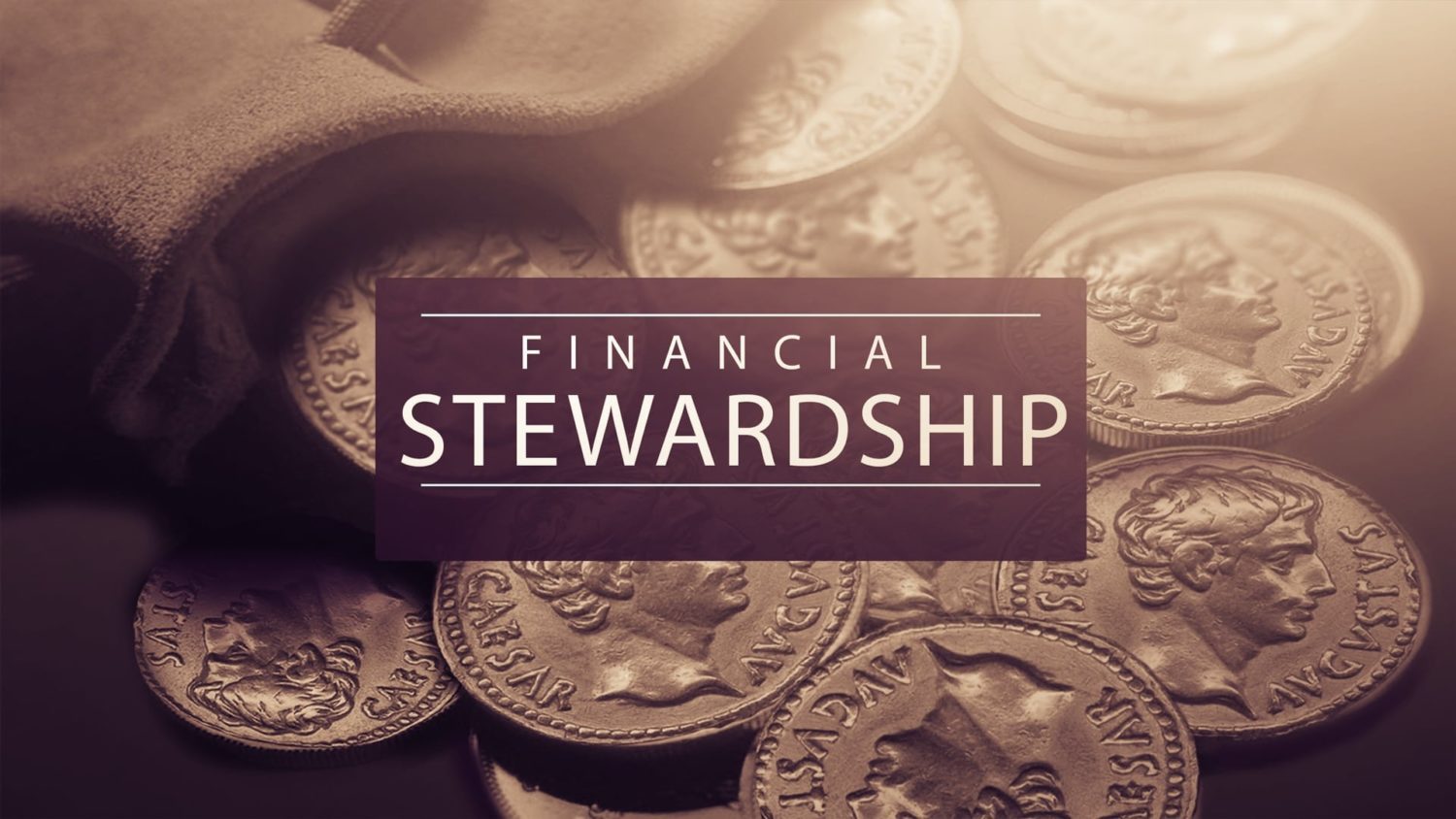Featured image for “Financial Stewardship”